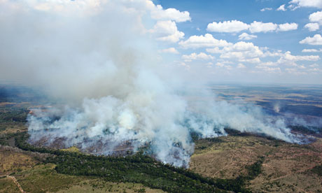 Brazil's Amazon rangers battle farmers' burning business logic ...
