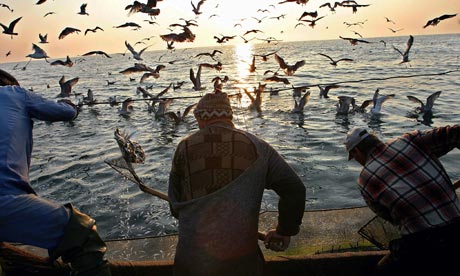 Leo blog : Romanian fishermen are cleaning up their net from small dead fish