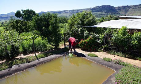 MDG : Water day and water related issues