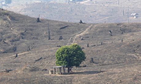 MDG : Green Economy and Forests REDD : hills of  burnt out brown and deforested land in Thailand