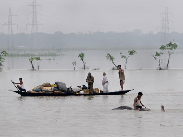 flooding in Pobitora Wildlife Sanctuary