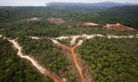 MDG : Land grab in Papua New Guinea : logging and deforatation