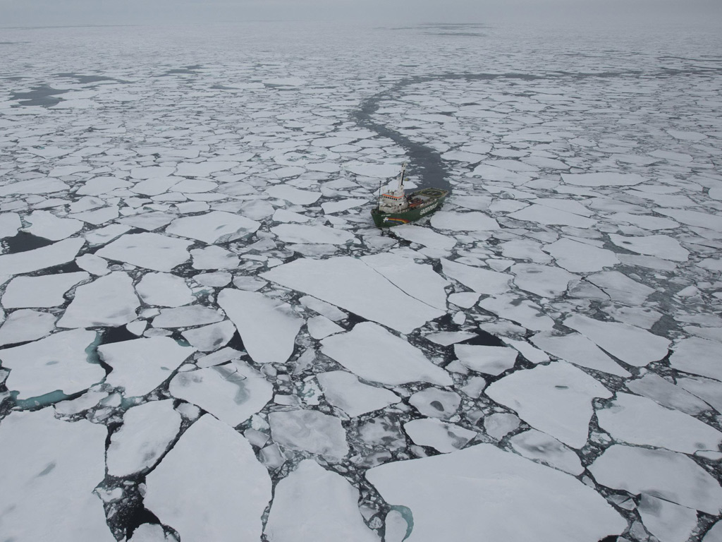 John Vidal in arctic : Sea Ice Minimum : Greenpeace MY Arctic Sunrise ship expedition 