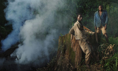 MDG : World Bank report on forest : Foresters rest next to a trunk on June 13, 2008 in Katwe, DRC