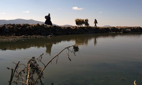 MDG : Peru and Development : A general view of the polluted water of Cohana Bay in Titicaca lake