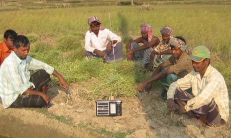 MDG farming in Bangladesh