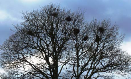 In Pursuit of Spring, a tribute to Edward Thomas