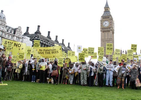 March of the Beekeepers to ban ban on bee harming pesticides., Westminster 