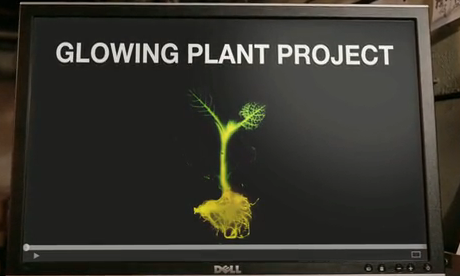 Screengrab of Kickstarter synthetic biology project