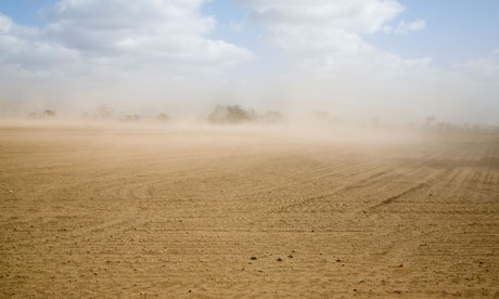 Nafeez Blog on Peak soil : Wind causing soil erosion in fields, Suffolk Sandlings