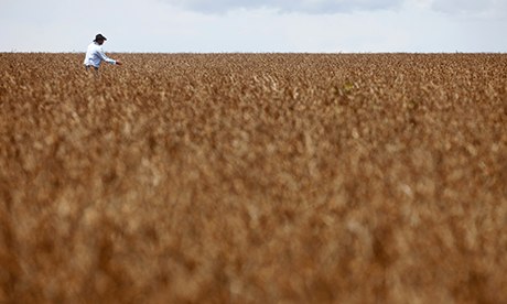 MDG  : A soybean plantation in Mato Grosso, Brazil