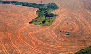 Deforestation in the Amazon rainforest