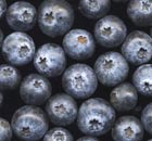Blueberries