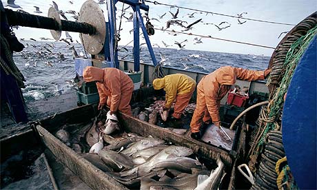 Cod fishermen