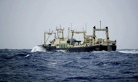 Japanese whaling vessel Nisshin Maru