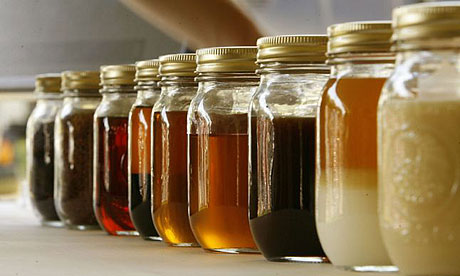 Biodiesel in different stages of production
