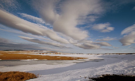 Arctic tundra in Siberia