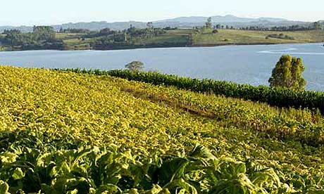 GSB Best Practice Awards: British American Tobacco Biodiversity