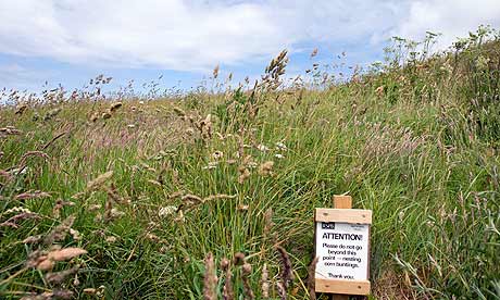 Cemex uk biodiversity strategy