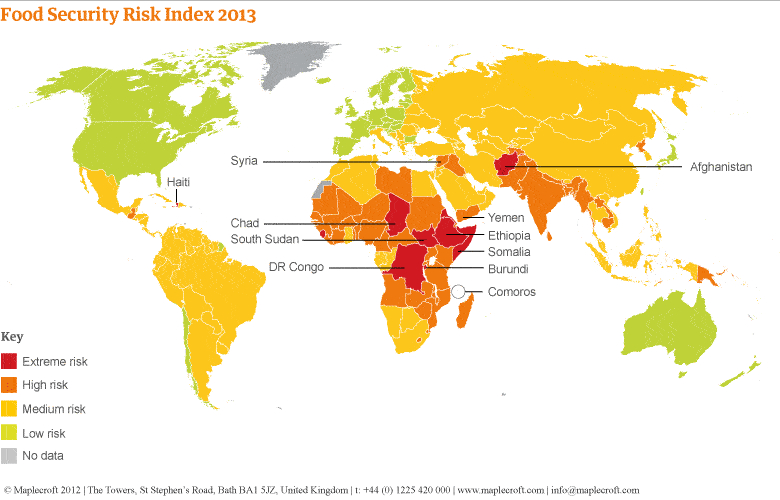 Map - world food security risk 5