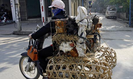 This photo taken 04 January, 2007 shows