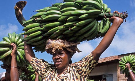 Women carry cooking bananas in Mwika, Tanzania