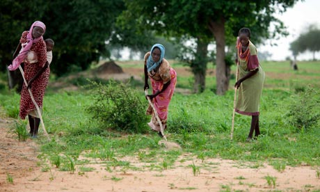 women farming a land near a camp for Internally Displaced Persons (IDP) in Gereida, South Darfur