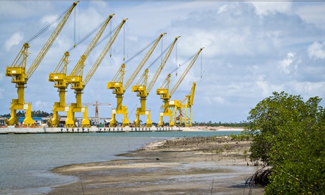 MDG : Suape port and shellfish fishing : Mangrove and cranes, Pernambuco, Brazil