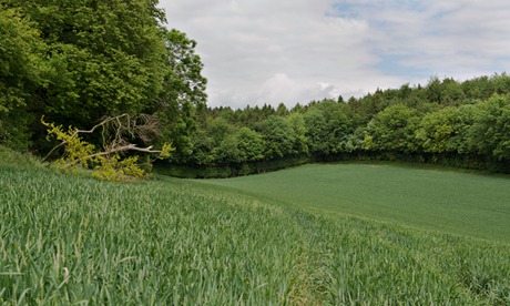 Proposed tunnel entrance site at Mantles Wood on the planned route for HS2 Railway