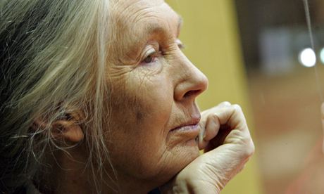 British primatologist and conservationist Jane Goodall 