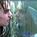 Romeo +Juliet (100 Moments)