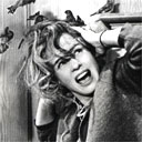 The Birds