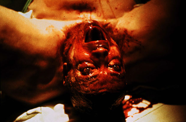 Operations - The Kingdom