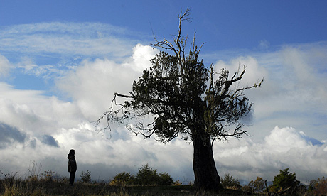The Sky, the Earth and the Rain