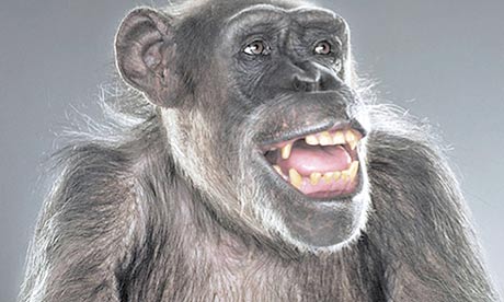 Detail from the front cover of Me Cheeta, his biography
