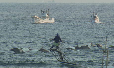 Scene from The Cove (2009)