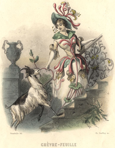 Goats in art: <Chevre-Feuille> by J.J. Grandville