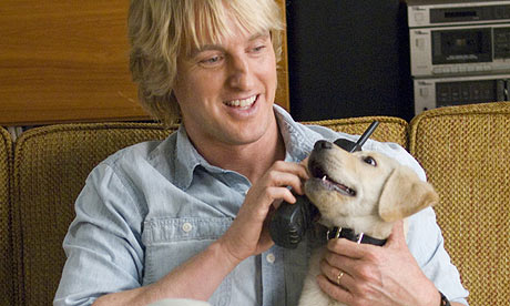 marley and me dog breed. marley and me puppy years