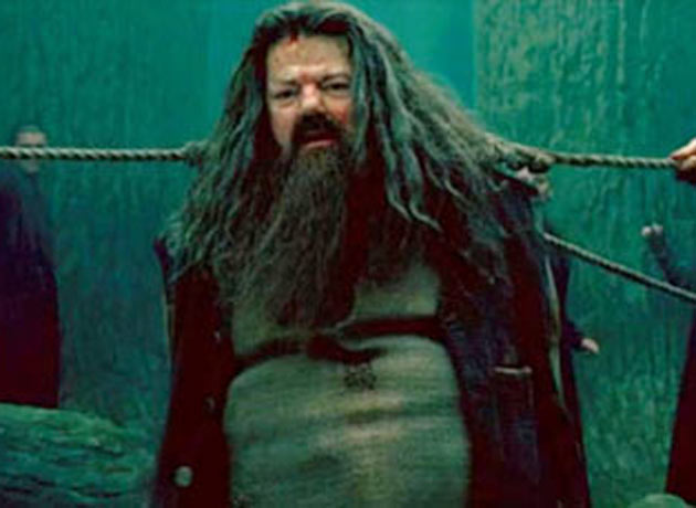 Hagrid in Harry Potter and the Deathly Hallows: Part Two