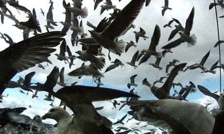 Leviathan film still