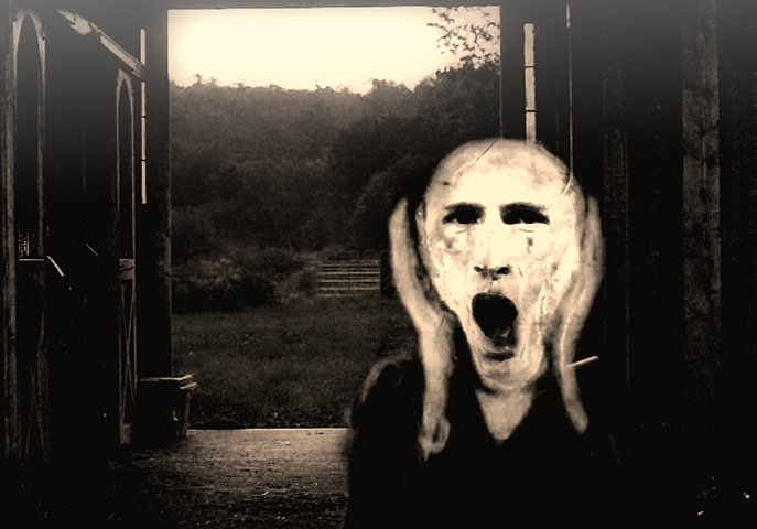 Fernando Torres: Fernando Torres