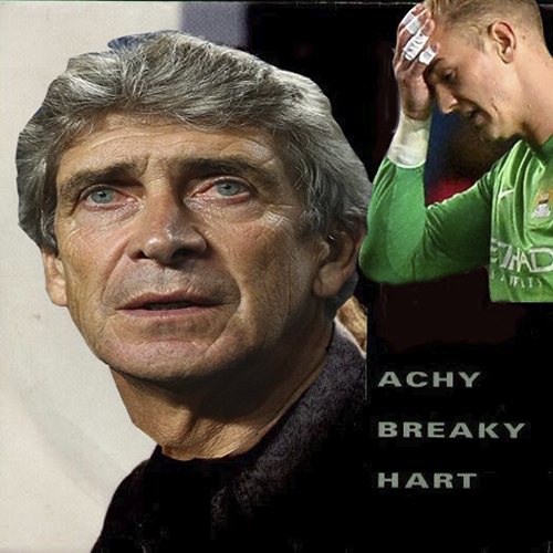 Manuel Pellegrini gallery 1