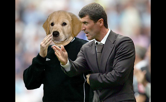 Roy Keane