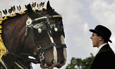 A man shouting at some horses