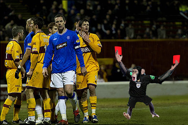 Scottish referees: The Gallery: Scottish referees