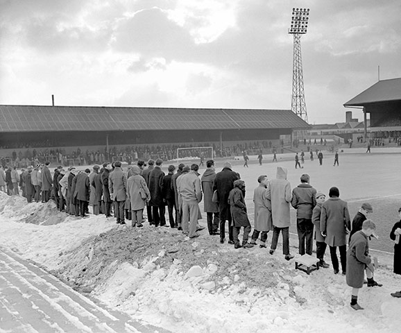 Brighton-fans-watch-the-p-006.jpg