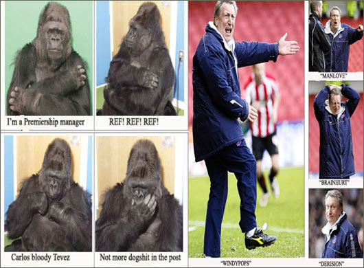 The Gallery: Neil Warnock, Stuart Goodacre