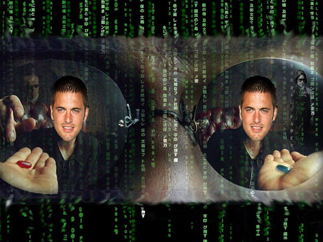 The Gallery: Joe Cole: The Gallery: Joe Cole