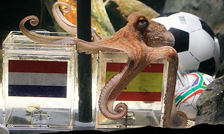 Paul the octopus predicts Spain will win the World Cup final