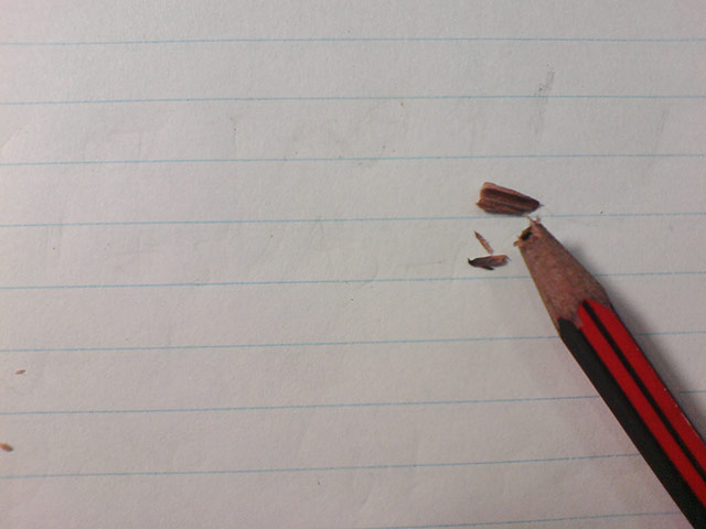 The Gallery: Pre-season: The Gallery: Pre-season